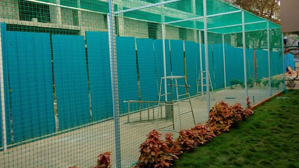Cricket Practice Nets in Chennai