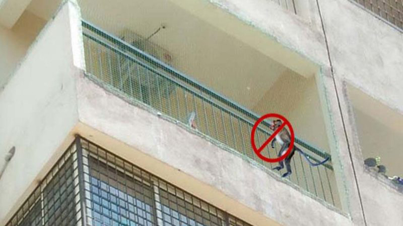 Monkey Safety Nets in Chennai
