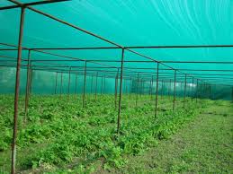 Shade Safety Nets in Chennai