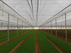 Shade Safety Nets in Chennai